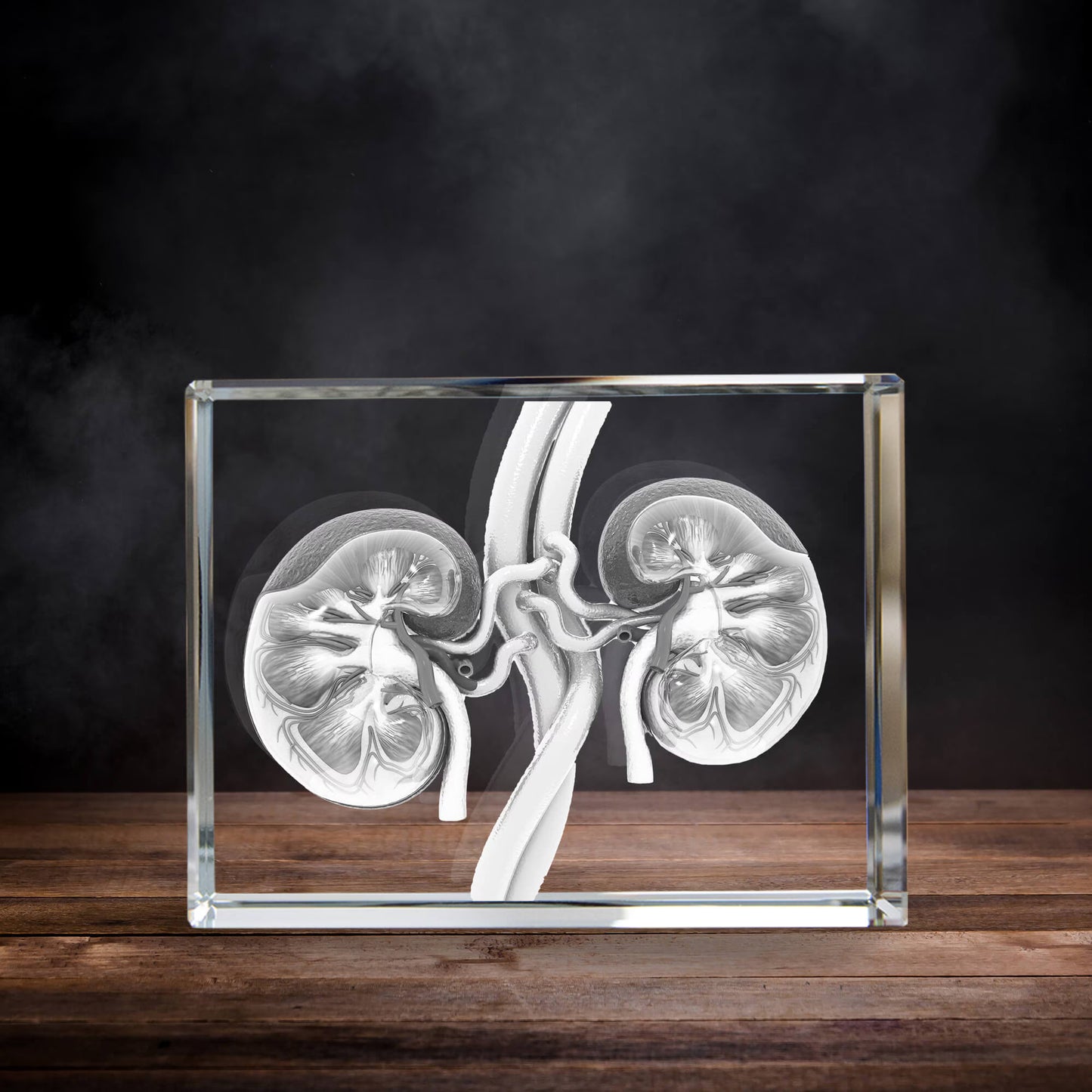 3D Laser Gifts® Pre-Design Crystal Rectangle - Kidney Anatomy