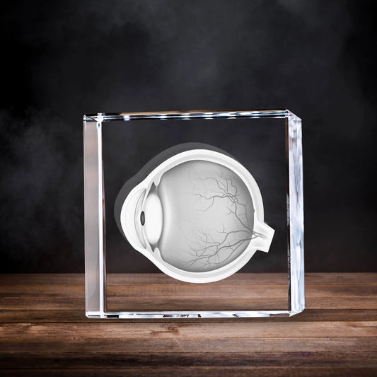 3D Laser Gifts® Pre-Design Crystal Square - Eye Anatomy