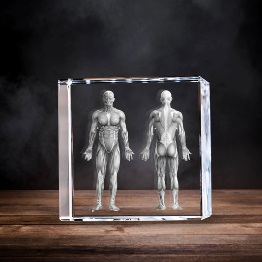3D Laser Gifts® Pre-Design Crystal Square - Muscle Anatomy